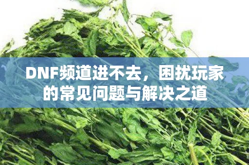 困扰玩家的常见问题与解决之道图片