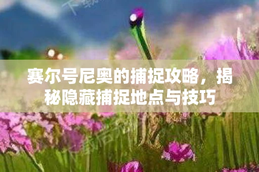 赛尔号尼奥的捕捉攻略，揭秘隐藏捕捉地点与技巧