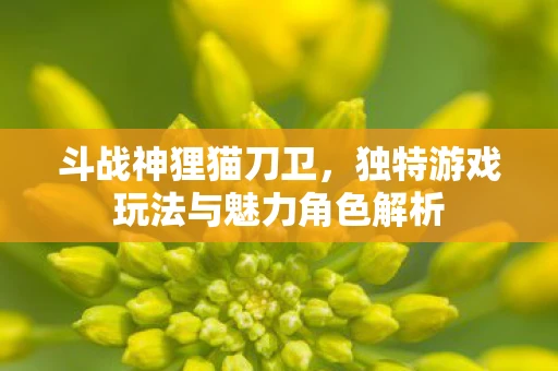 斗战神狸猫刀卫，独特游戏玩法与魅力角色解析