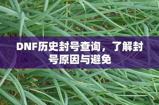 DNF历史封号查询，了解封号原因与避免