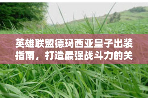 英雄联盟德玛西亚皇子出装指南，打造最强战斗力的关键