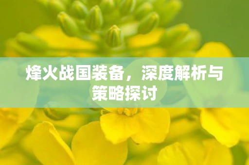 烽火战国装备，深度解析与策略探讨