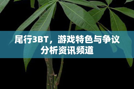 游戏特色与争议分析资讯频道图片