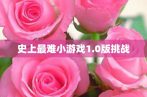 史上最难小游戏1.0版挑战