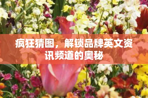 疯狂猜图，解锁品牌英文资讯频道的奥秘