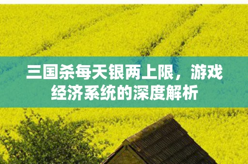 三国杀每天银两上限，游戏经济系统的深度解析