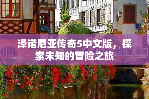 泽诺尼亚传奇5中文版，探索未知的冒险之旅