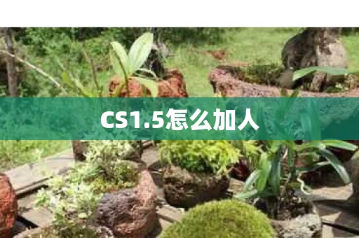 CS1.5怎么加人