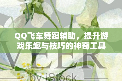 QQ飞车舞蹈辅助，提升游戏乐趣与技巧的神奇工具