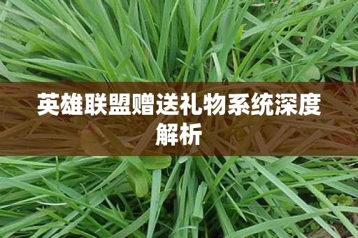 英雄联盟赠送礼物系统深度解析