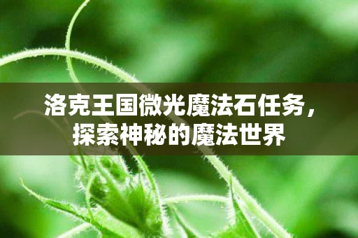 洛克王国微光魔法石任务，探索神秘的魔法世界