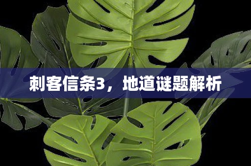 刺客信条3，地道谜题解析