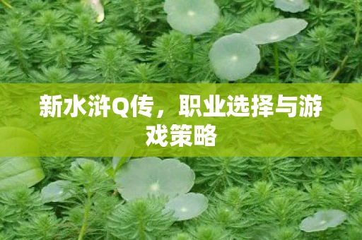 新水浒Q传，职业选择与游戏策略