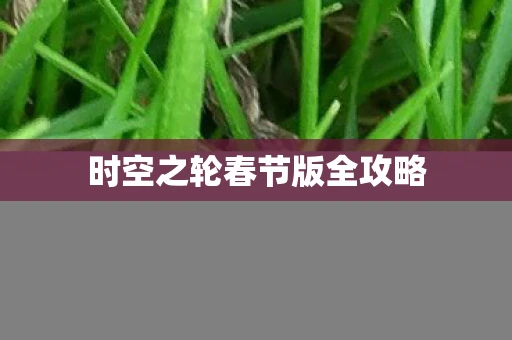 时空之轮春节版全攻略