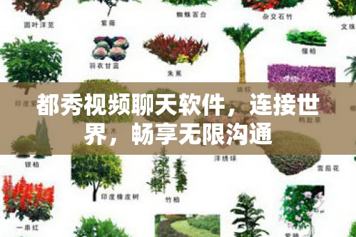 都秀视频聊天软件，连接世界，畅享无限沟通