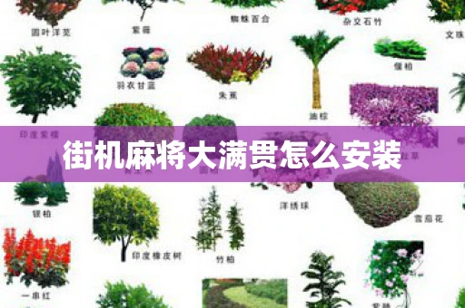 街机麻将大满贯怎么安装