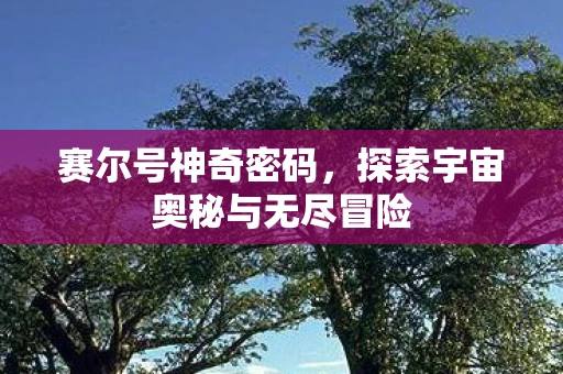 赛尔号神奇密码，探索宇宙奥秘与无尽冒险