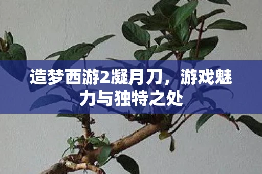 造梦西游2凝月刀，游戏魅力与独特之处