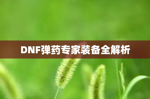 DNF弹药专家装备全解析图片