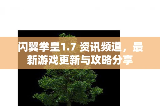 闪翼拳皇1.7 资讯频道，最新游戏更新与攻略分享
