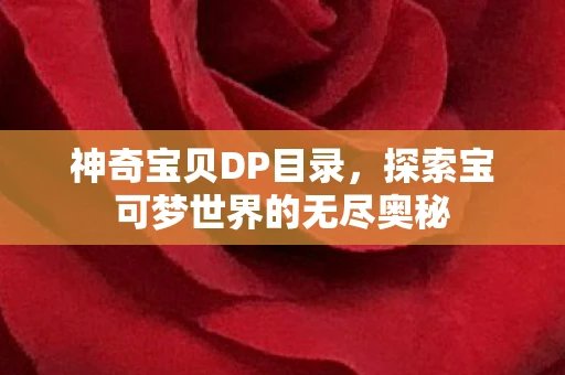 神奇宝贝DP目录，探索宝可梦世界的无尽奥秘