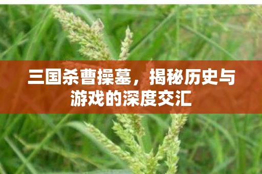 三国杀曹操墓，揭秘历史与游戏的深度交汇