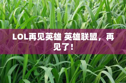 LOL再见英雄 英雄联盟，再见了！