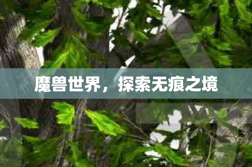 魔兽世界，探索无痕之境