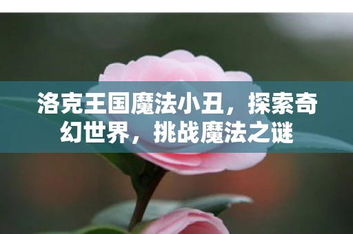 洛克王国魔法小丑，探索奇幻世界，挑战魔法之谜