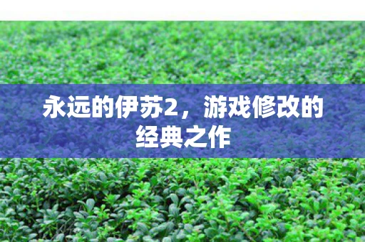 永远的伊苏2，游戏修改的经典之作