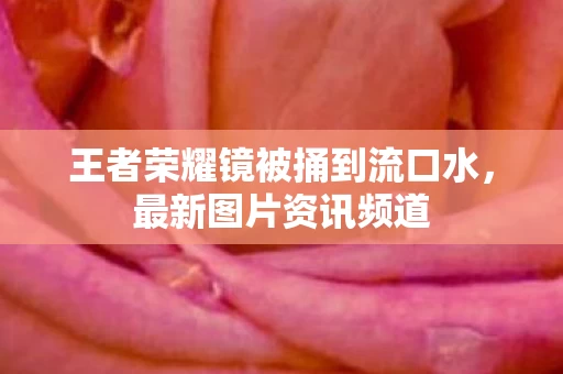 王者荣耀镜被捅到流口水图片