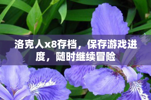洛克人x8存档，保存游戏进度，随时继续冒险