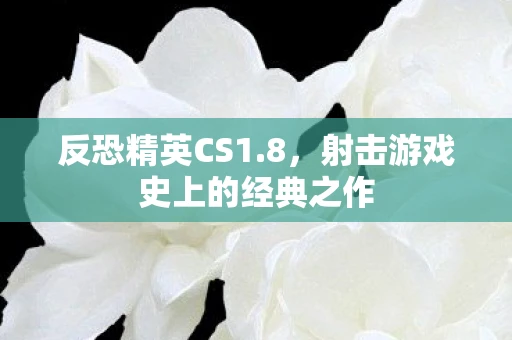 反恐精英CS1.8，射击游戏史上的经典之作
