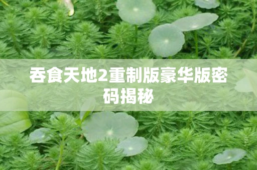 吞食天地2重制版豪华版密码揭秘