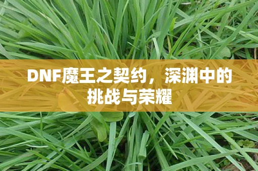 DNF魔王之契约，深渊中的挑战与荣耀