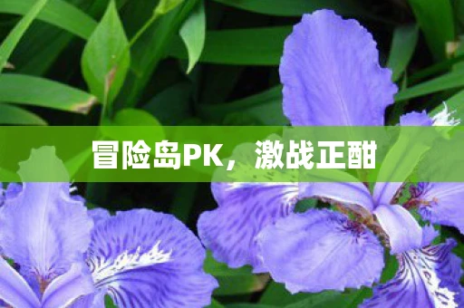 冒险岛PK，激战正酣