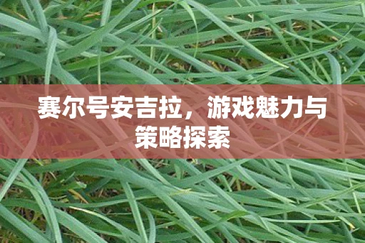 赛尔号安吉拉，游戏魅力与策略探索