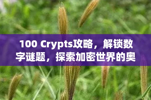 100 Crypts攻略，解锁数字谜题，探索加密世界的奥秘