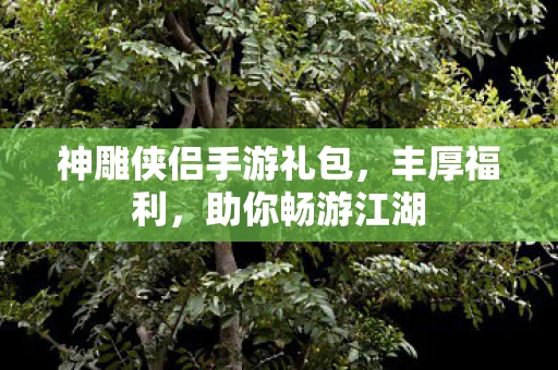 神雕侠侣手游礼包，丰厚福利，助你畅游江湖