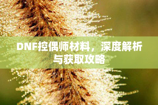 DNF控偶师材料，深度解析与获取攻略