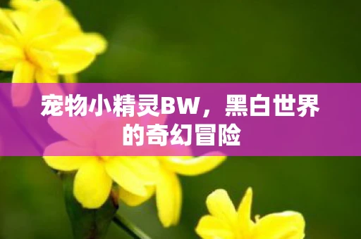 宠物小精灵BW，黑白世界的奇幻冒险