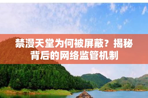 揭秘背后的网络监管机制图片