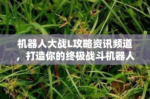 机器人大战L攻略资讯频道，打造你的终极战斗机器人