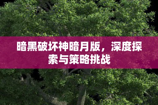暗黑破坏神暗月版，深度探索与策略挑战