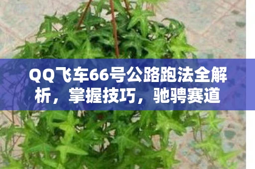 QQ飞车66号公路跑法全解析，掌握技巧，驰骋赛道