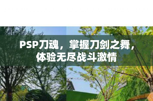 PSP刀魂，掌握刀剑之舞，体验无尽战斗激情
