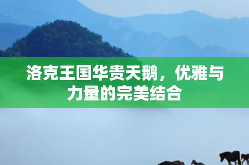 洛克王国华贵天鹅，优雅与力量的完美结合