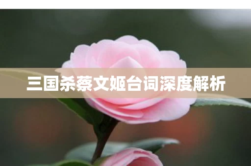 三国杀蔡文姬台词深度解析图片