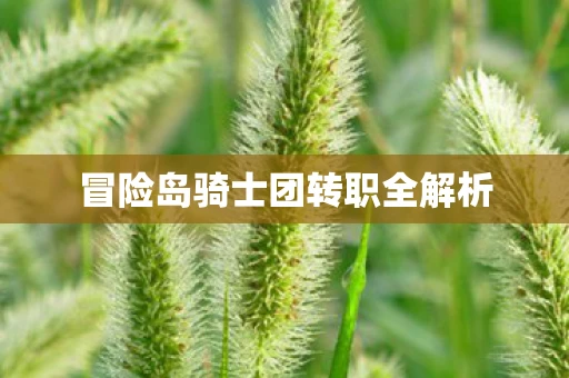 冒险岛骑士团转职全解析