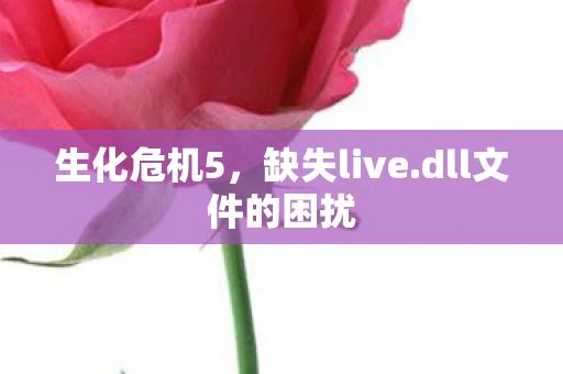 生化危机5，缺失live.dll文件的困扰